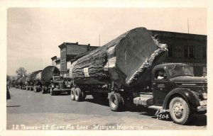 RPPC WESTERN WASHINGTON 12 TRUCKS LOGGING COCA-COLA SIGN REAL PHOTO POSTCARD