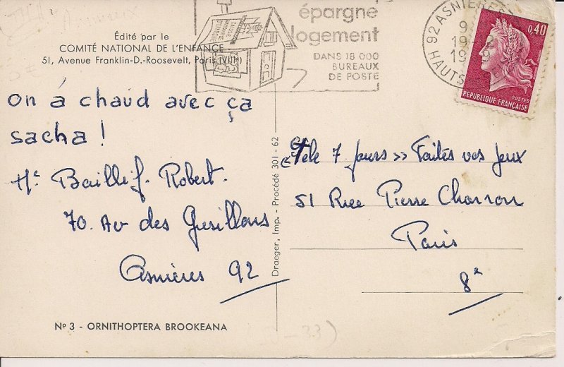 Butterfly, Named Species 1969 Insects, Animals