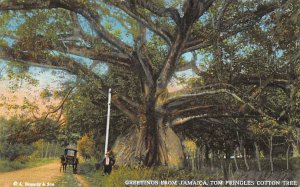 Tom Pringles Cotton Tree Jamaica Unused 