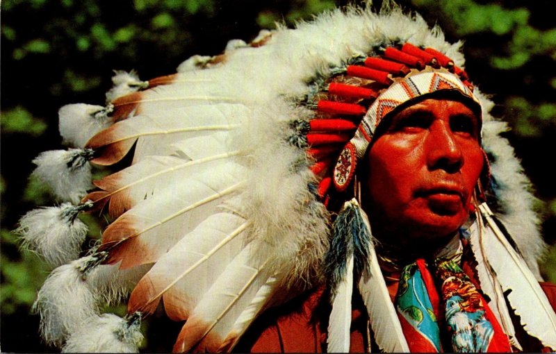 American Indian Chief