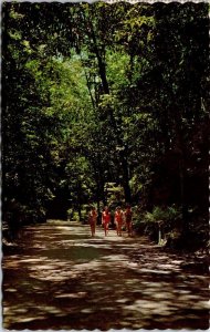 VINTAGE POSTCARD FERN GULLY AT OCHO RIOS JAMAICA MAILED 1971