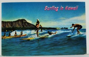 Surfing in Hawaii Sport of Kings Postcard M18