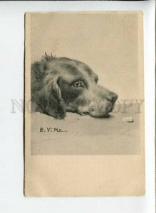 3163830 HUNT Setter Dog by E.V.M. Vintage postcard