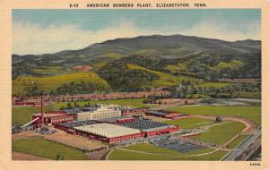 ELIZABETHTON, TN Tennessee  AMERICAN BEMBERG PLANT~Aerial View c1940's Postcard