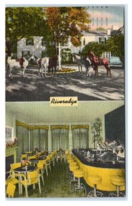 READING, PA Pennsylvania ~ Roadside RIVEREDGE RESORT Horses1950 Linen Postcard