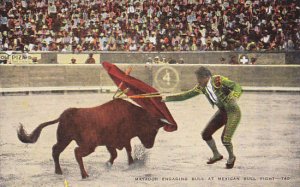 Matador Engaging Bull At A Mexican Bull Fight