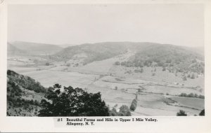 RPPC Farms and Hills in the Upper 5 Mile Valley - Allegany NY, New York
