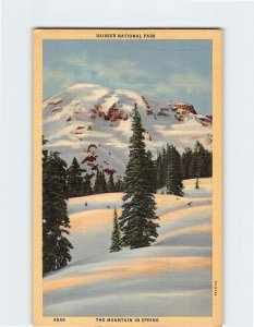 Postcard The Mountain in Spring, Rainier National Park, Washington