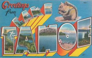 LP01  LARGE letter Lake Tahoe, California, CA, Postcard.