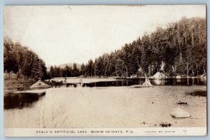 Morin Heights Quebec Canada Postcard Seale's Artificial Lake c1910 RPPC Photo