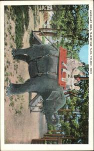 Toledo OH Walbridge Park Children Ride Elephant c1920 Postcard