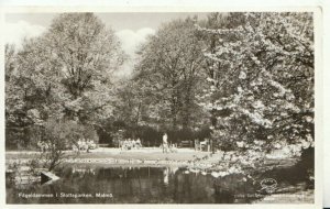 Sweden Postcard - Fageldammen i Slottsparken - Malmo - Real Photograph -  TZ7651