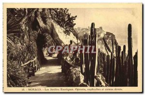 Old Postcard Monaco Exotic Gardens Opunita Euphorbia Cereus