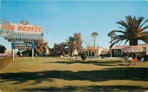 1950s Phoenix Arizona Sea Breeze Motor Hotel roadside Petley postcard 11025 pool