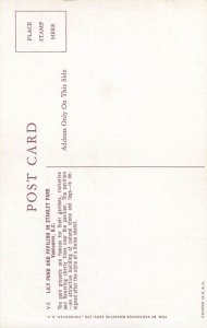 Canada Vancouver B.C. Lily pond Pavilion in Stanley Park