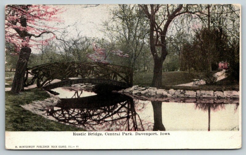 Davenport IAPink Buds on Tree Near Central Park Rustic Footbridge1908 Postcard