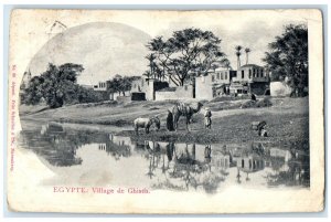 c1905 Camel Animal Buildings Village De Ghiseh Egypt Antique Posted Postcard