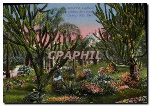 Old Postcard Monte Carlo Casino gardens Cacti