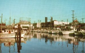 Vintage Postcard Fisherman's Wharf Bright Painted Boats San Francisco California