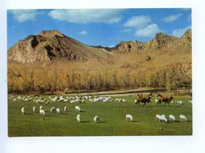 419482 MONGOLIA Bogdyn Goi river Zabhan Aimak CAMELS Old postcard