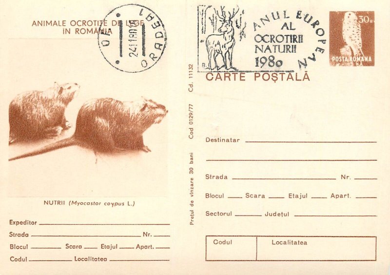 Set of 20 postal stationery postcards animals protected by law in Romania 1980