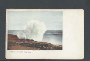 1902 Post Card Santa Cruz CA The Old Man Of The Sea UDB