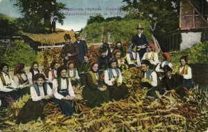 bulgaria, PIRDOP Пирдо, Group of Farmers Traditional Costumes (1910s) Postcard