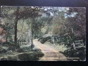 Scotland: 'WHERE TWINES THE PATH' the Trossachs - Old Postcard