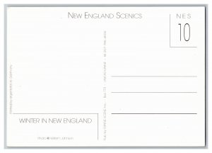 Winter In New England Postcard Continental View Card