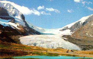 Canada The Canadian Rockies The Columbia Icefield