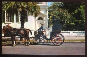 h911 - CHARLESTON SC Postcard 1960s Brewster Victoria Carriage Taxi. Street View