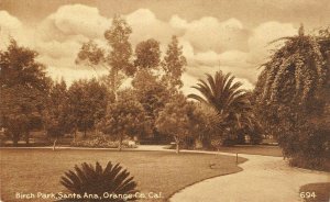 BIRCH PARK Santa Ana, Orange County, CA c1910s Vintage Postcard