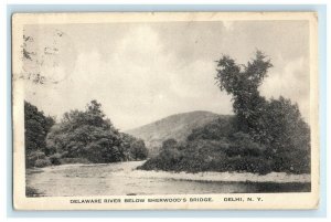 1922 Delaware River Below Sherwood's Bridge Delhi New York NY Vintage Postcard 