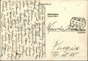 Hungary Refrigerator Appliance Vintage Adv Postcard