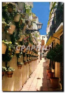 Postcard Modern Marbella Malaga Calle Tipica Street Tipique