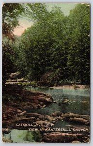 1913 Catskill Mountains New York NY View In Kaaterskill Canyon Posted Postcard