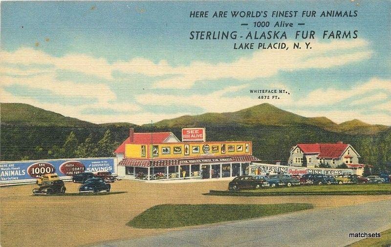 1940s Sterling Alaska Fur Farms Lake Placid New York Teich postcard 3960 