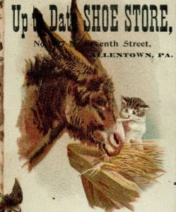 1880's Warmkessel's Shoe Store Lehigh Valley Barn Scene Donkey & Kitten Cat P175