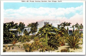 El Prado Cactus Garden San Diego California CA Postcard