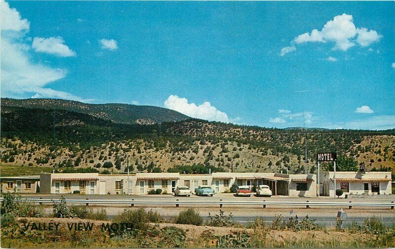 Cook Green Tree New Mexico Valley View Motel roadside Postcard 20-10225