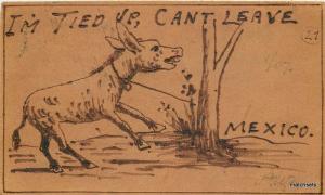 c1910 Leather Mexico Tied up Mule Postcard 9097x