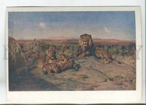 480045 Bonheur Rose lions Vintage russian postcard