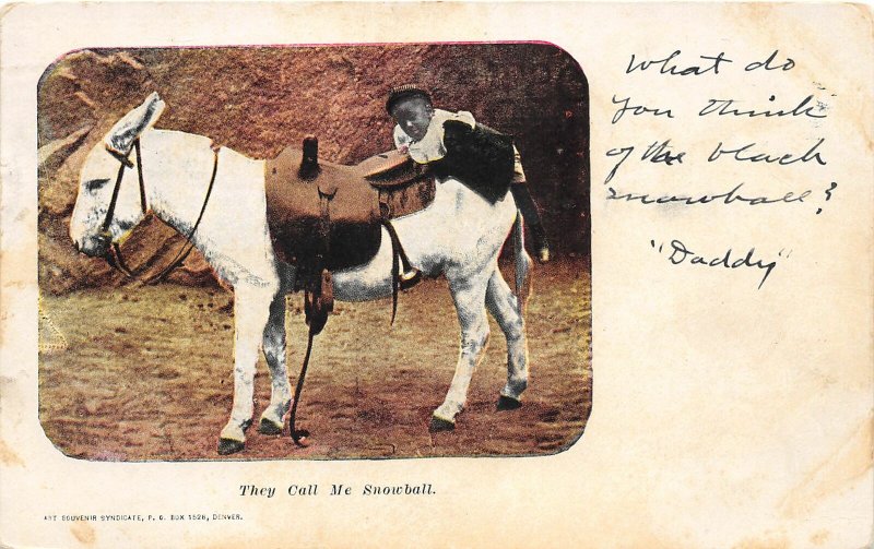 F53/ Black Americana Postcard 1907 Call me Snowball Mule Boy 2