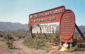 NAPA VALLEY, CA Vineyards Wine Roadside Sign Beringer 1960s Vintage Postcard