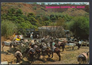 Animals Postcard - Donkeys - Donkey Taxis in Algar, Alicante, Spain  RR4595