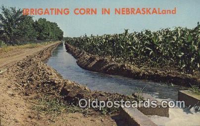 Irrigating Corn Farming Postcard Post Card Nebraska, NE, USA Irrigating Corn