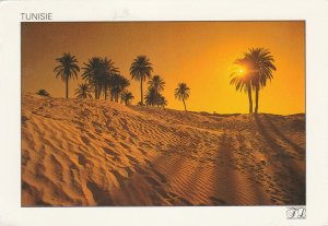 TUNISIA: DESERT LIGHT - Vintage POSTCARD