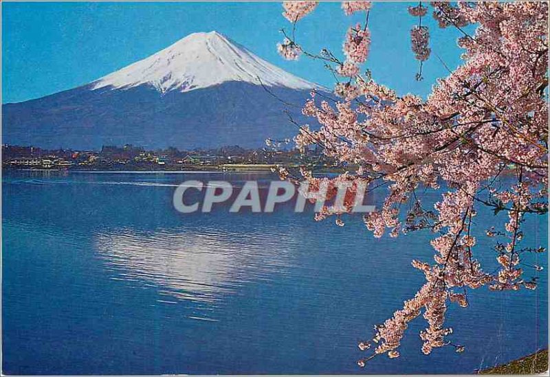 Postcard Modern Kake Kawaguchl Fufi and Cherry Blossoms (Yamanashi) Mt Fuji
