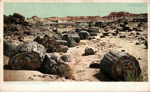 USA Grand Canyon Arizona Petrified Forest Vintage Postcard 08.65