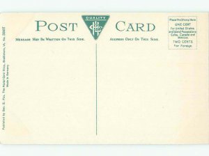 Divided-back RIVER SCENE Brattleboro Vermont VT AE6716